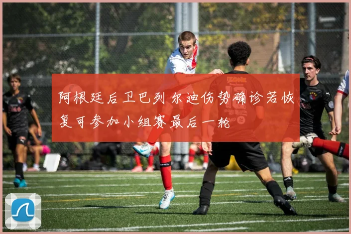 阿根廷后卫巴列尔迪伤势确诊若恢复可参加小组赛最后一轮